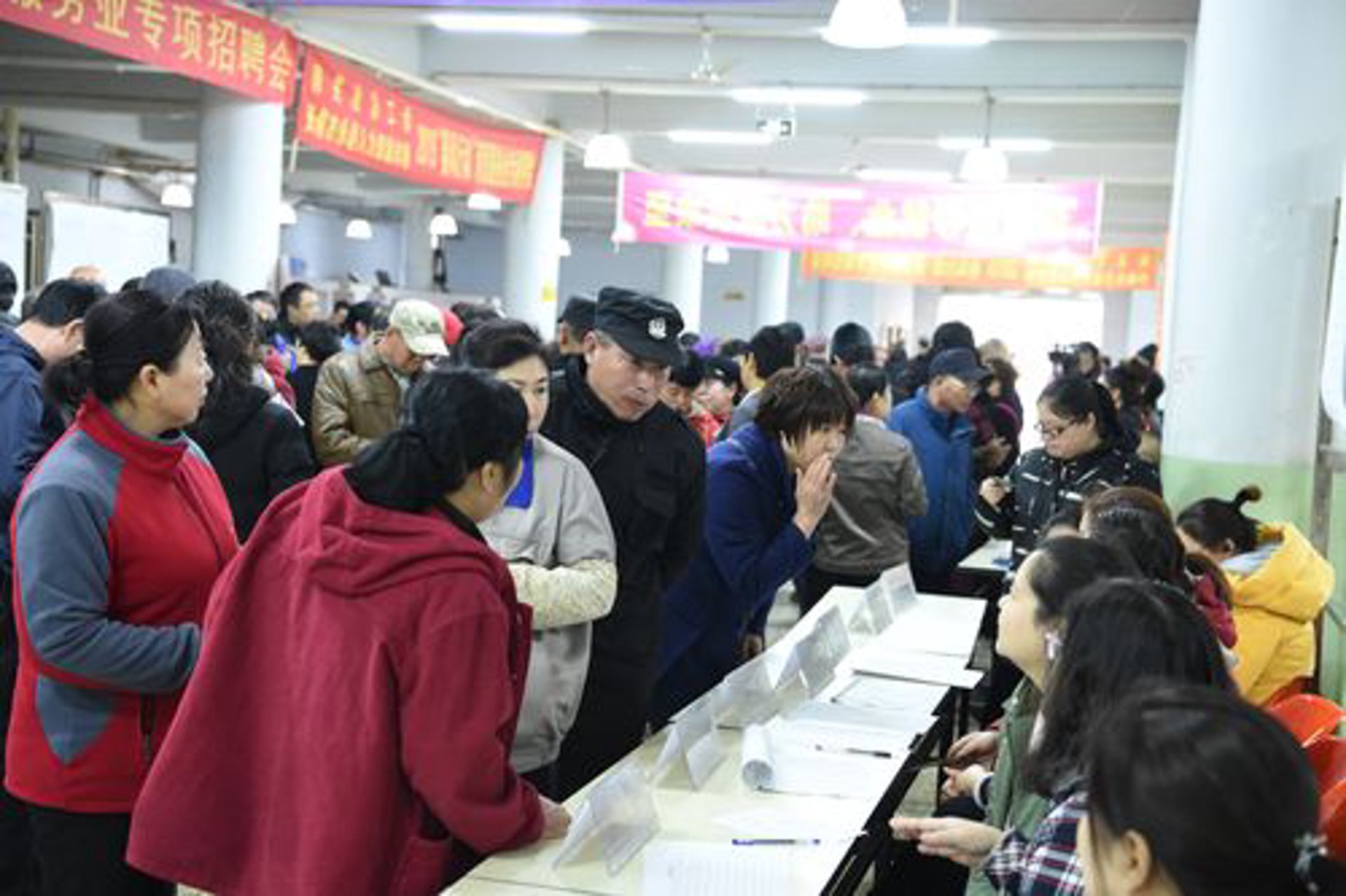 锦文招聘网